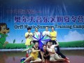 2013 偉才《奧爾夫暑期夏令營》教師培訓(xùn)——美的教育  美的享受
