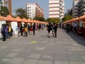 偉才受邀參加廣東女子學(xué)院2014屆畢業(yè)生供需見(jiàn)面會(huì)