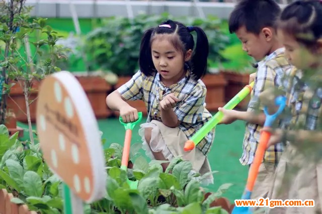 河南洛陽(yáng)正大國(guó)際香港偉才幼兒園上演了一場(chǎng)萌版奧運(yùn)會(huì)