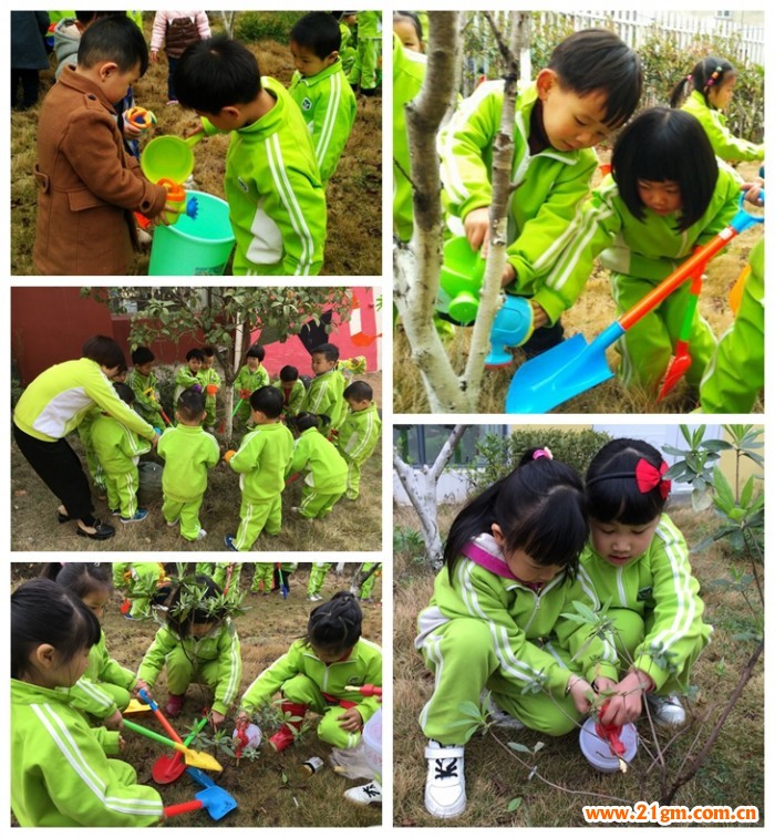 添一點新綠，溫馨又美好——湖北仙桃和合偉才幼兒園植樹節(jié)活動