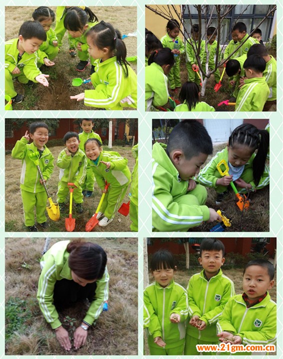 添一點新綠，溫馨又美好——湖北仙桃和合偉才幼兒園植樹節(jié)活動