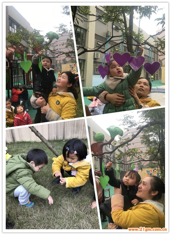 重慶大渡口區(qū)偉才幼兒園：愛護(hù)小樹苗，我和小樹一起成長(zhǎng)