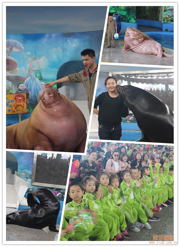 湖北仙桃和合偉才幼兒園:偉才生態(tài)主題課程之“遨游海洋世界•探索自然奧秘”