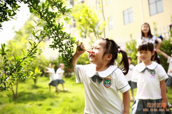 什么樣的幼兒園加盟品牌最有投資價值