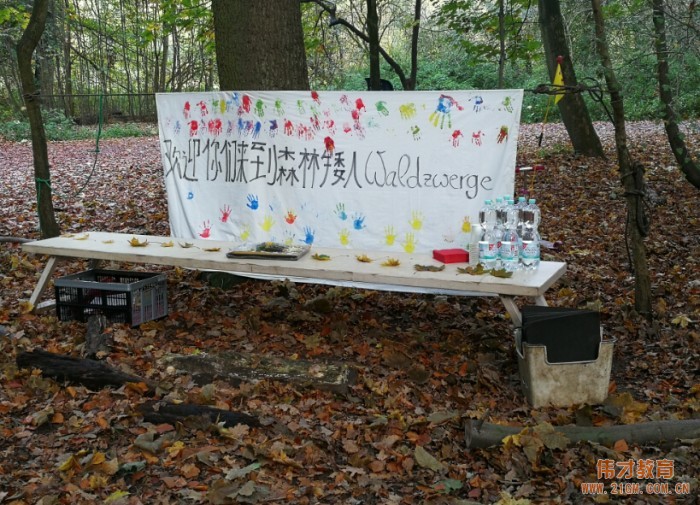 偉才教育2017年幼教交流團德國站(二):帶你走進顛覆認(rèn)知的幼兒園