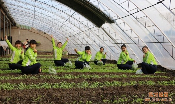 營口幼兒園加盟有什么好處？