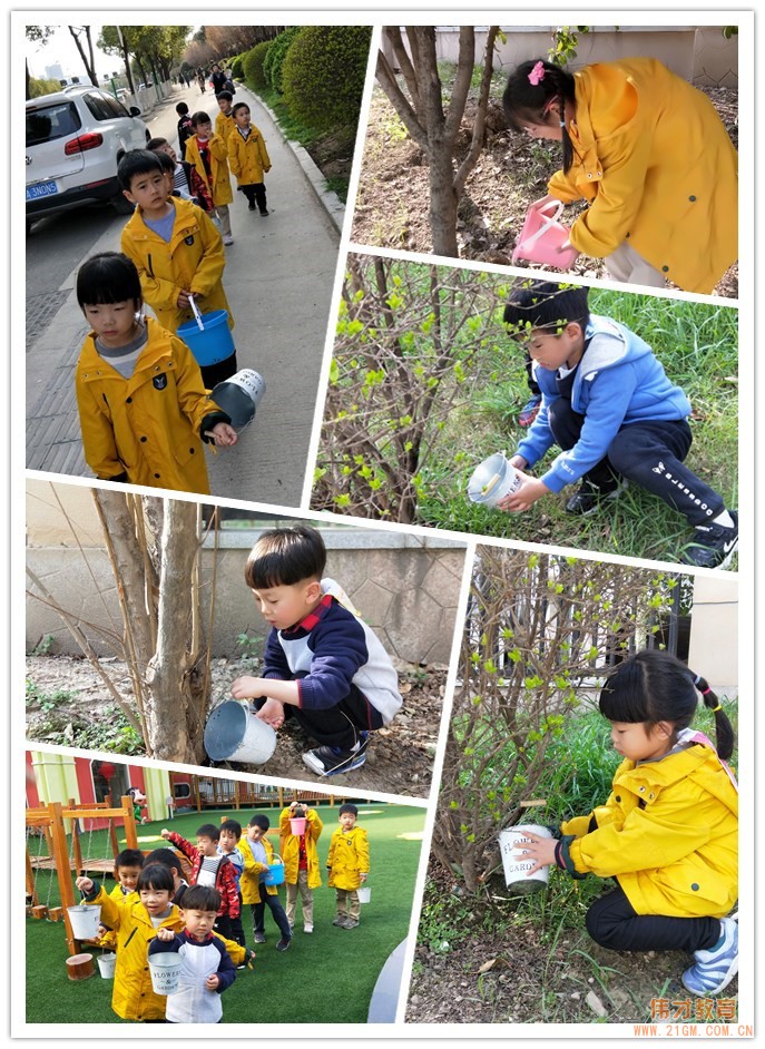 湖北武漢水岸星城偉才國際幼兒園：植一顆種子，育一顆大樹