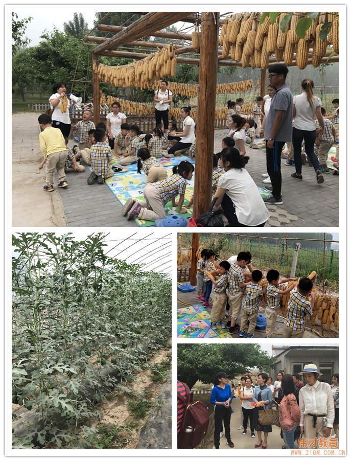 意義非凡的培訓(xùn)——2018年偉才體系幼教新趨勢與危機(jī)處理培訓(xùn)報道