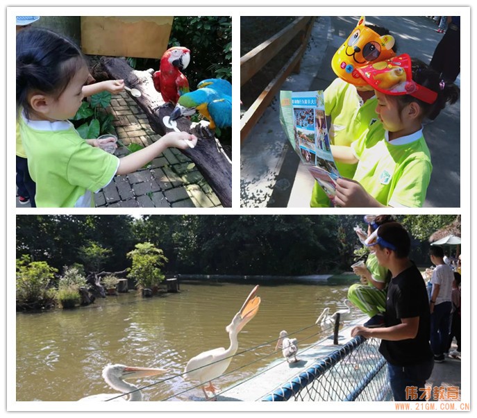 小鳥，你好！ 廣東中山東升偉才幼兒園親子研學(xué)之旅