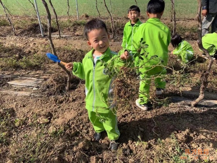 平頂山藍灣翠園偉才幼兒園生態(tài)大課堂：耕道田園，探索秋天的奧秘