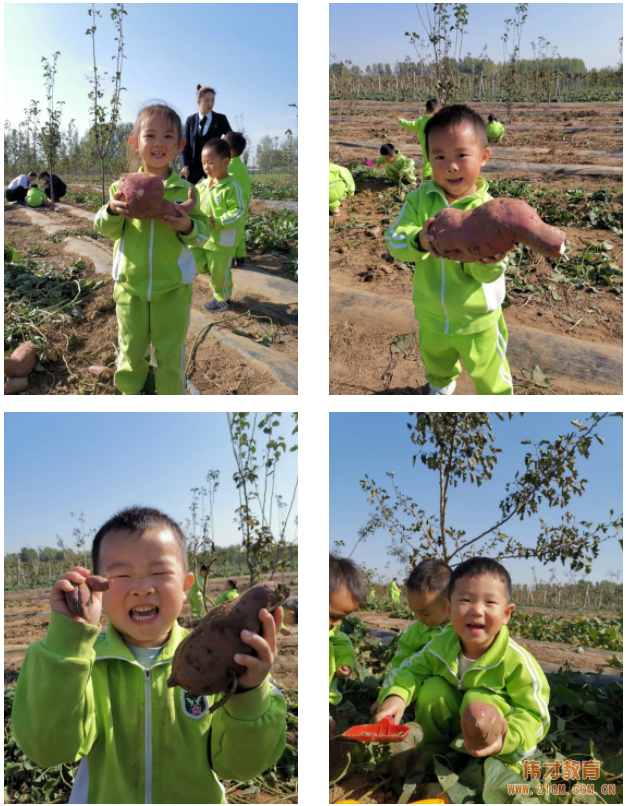 平頂山藍灣翠園偉才幼兒園生態(tài)大課堂：耕道田園，探索秋天的奧秘