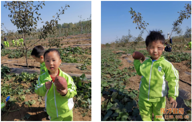 平頂山藍灣翠園偉才幼兒園生態(tài)大課堂：耕道田園，探索秋天的奧秘