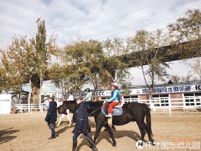 遼寧大連偉才幼兒園:馬術(shù)課