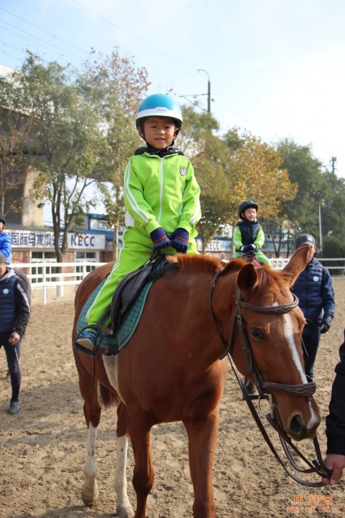 遼寧大連偉才幼兒園:馬術(shù)課