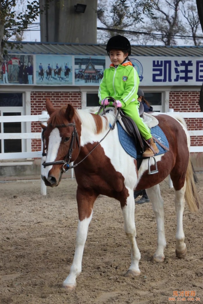 遼寧大連偉才幼兒園:馬術(shù)課