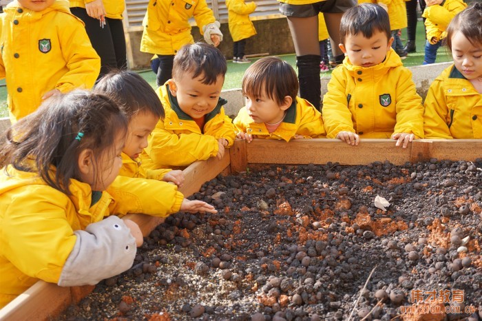 如何向新入園的家長(zhǎng)反饋孩子一日活動(dòng)信息？