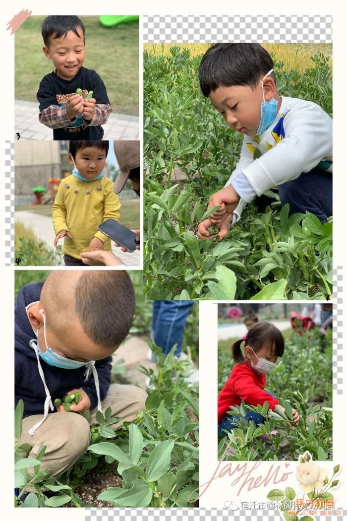 開園僅一年，江蘇省宿遷市翰林閣偉才幼兒園實(shí)現(xiàn)滿園！