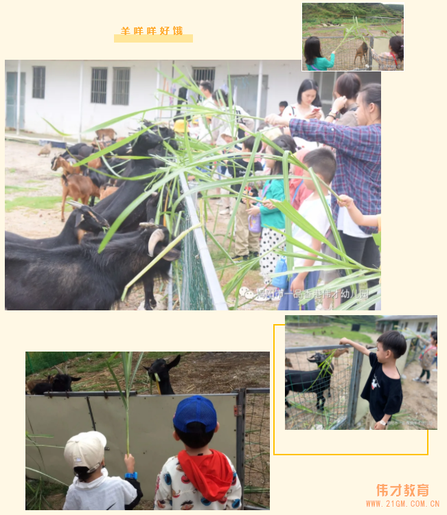 “玩”轉(zhuǎn)盛夏，“暑”你精彩——廣東揭陽偉才幼兒園游學(xué)記