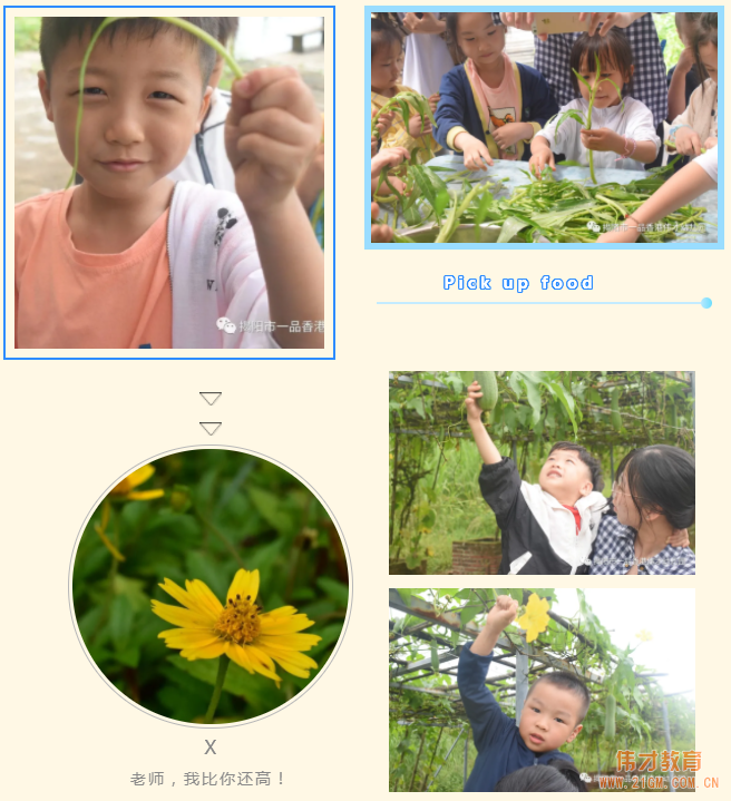“玩”轉(zhuǎn)盛夏，“暑”你精彩——廣東揭陽偉才幼兒園游學(xué)記