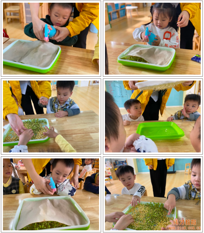 偉才生態(tài)課程：秋收冬藏，生根發(fā)芽丨廣東普寧市偉才幼兒園