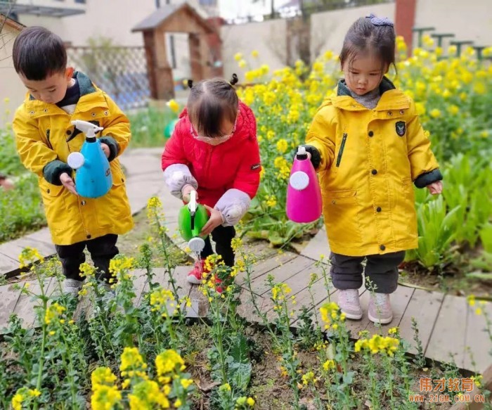 春風(fēng)十里，正“植”有你——江蘇蘇州雀梅偉才幼兒園植樹節(jié)活動(dòng)