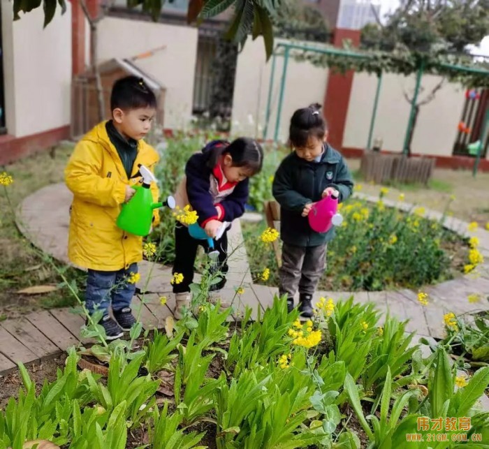 春風(fēng)十里，正“植”有你——江蘇蘇州雀梅偉才幼兒園植樹節(jié)活動(dòng)