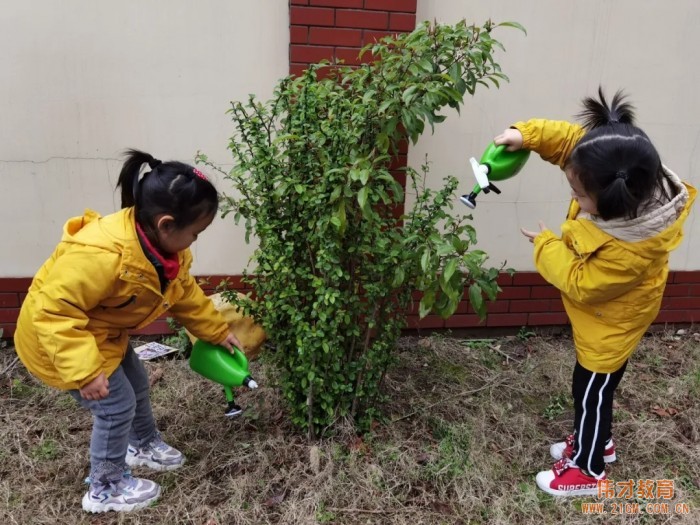 春風(fēng)十里，正“植”有你——江蘇蘇州雀梅偉才幼兒園植樹節(jié)活動(dòng)