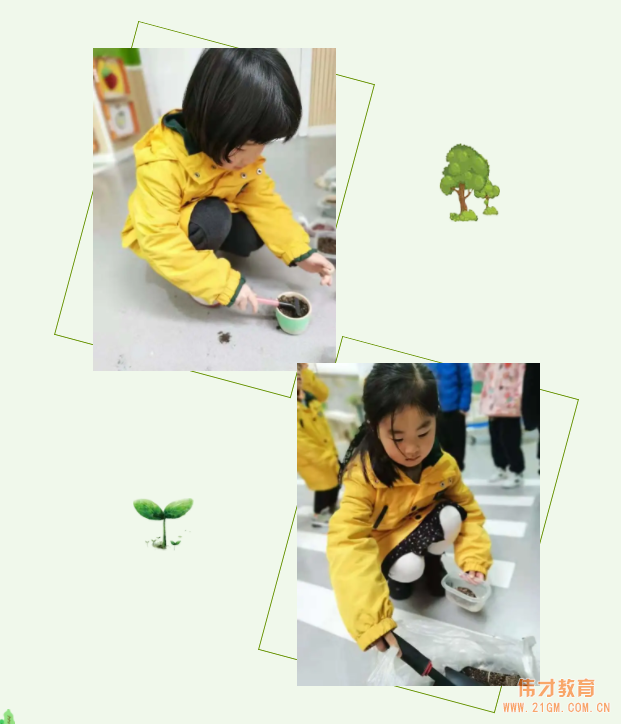 春風(fēng)十里，正“植”有你——江蘇蘇州雀梅偉才幼兒園植樹節(jié)活動(dòng)