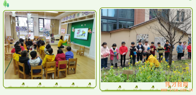 春風(fēng)十里，正“植”有你——江蘇蘇州雀梅偉才幼兒園植樹節(jié)活動(dòng)