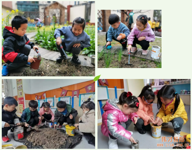 春風(fēng)十里，正“植”有你——江蘇蘇州雀梅偉才幼兒園植樹節(jié)活動(dòng)