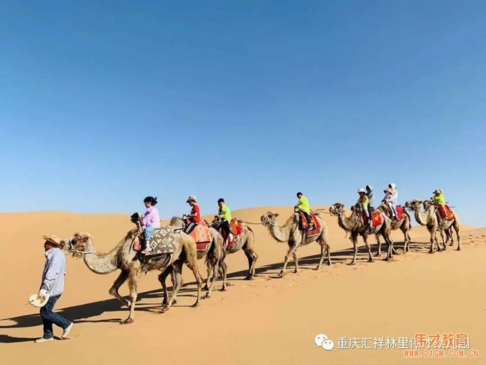 “勇敢的心”畢業(yè)沙漠研學之旅——重慶匯祥林里偉才幼兒園