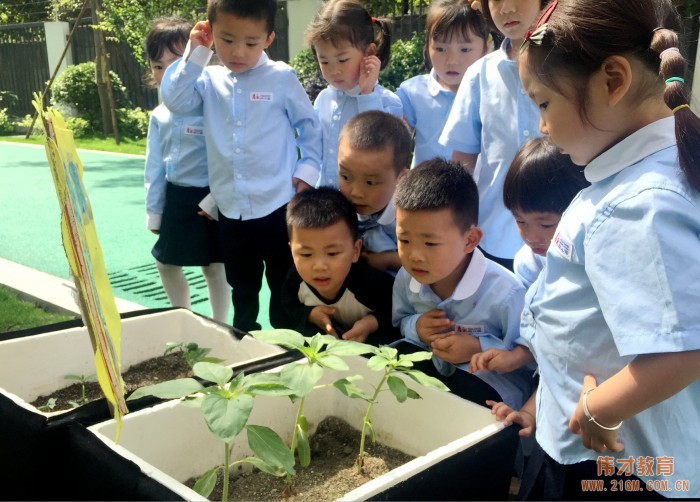 以愛(ài)做教育，用心伴成長(zhǎng)——厚永幼兒園走進(jìn)廣西欽州靈山縣！
