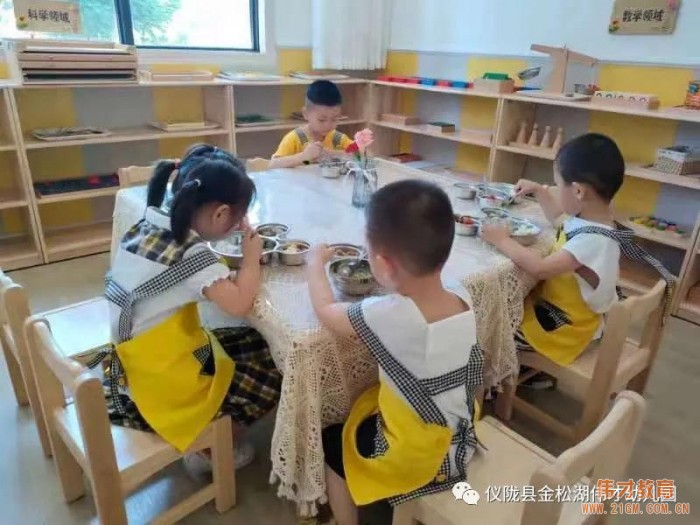 偉才園所丨“暑”你精彩，四川儀隴金松湖偉才幼兒園快樂暑假班