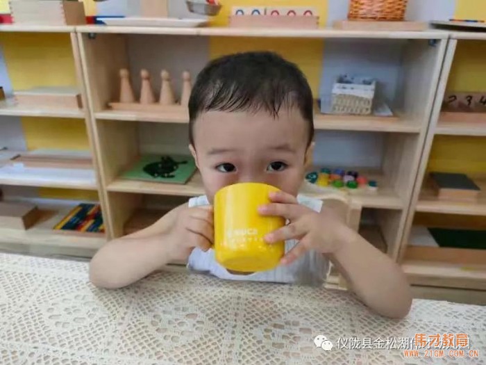 偉才園所丨“暑”你精彩，四川儀隴金松湖偉才幼兒園快樂暑假班