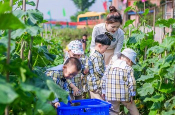 2022年，民辦園抬頭看天